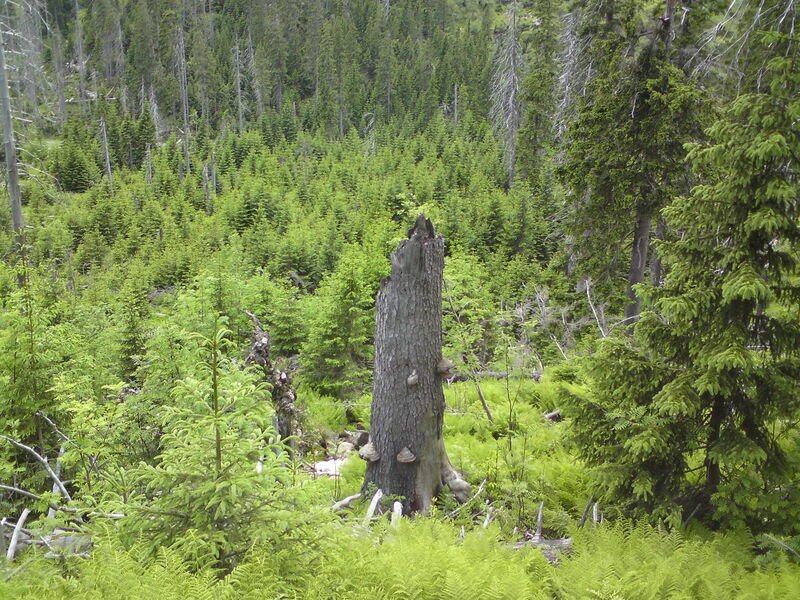 labe-p-pudlava-33.jpg
