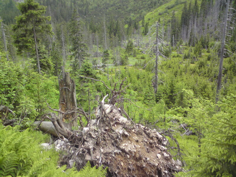 labe-p-pudlava-34.jpg