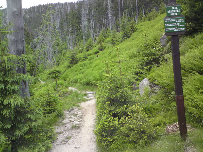 labe-p-pudlava-35.jpg