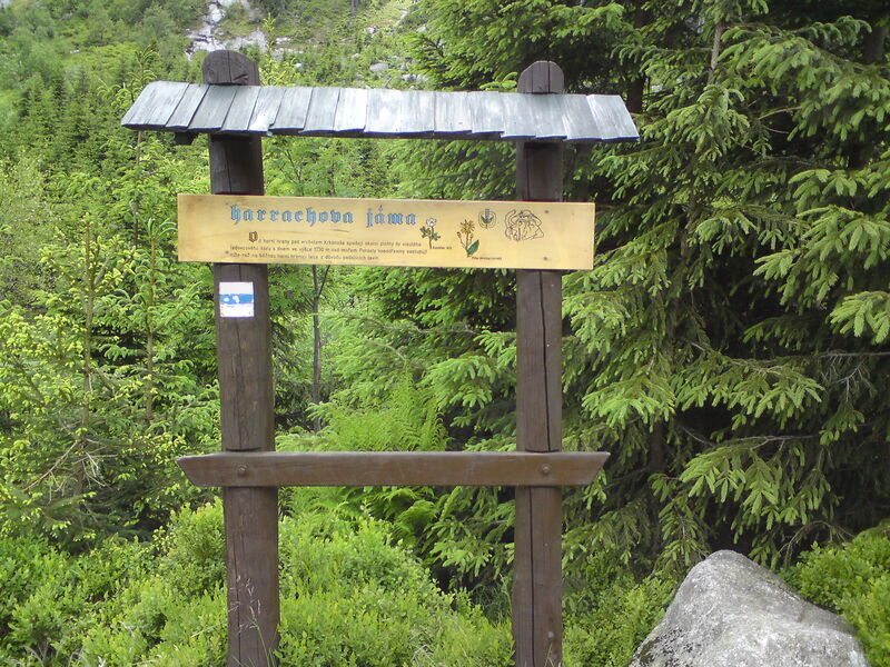 labe-p-pudlava-41.jpg