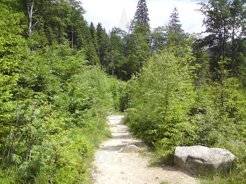 labe-p-pudlava-48.jpg