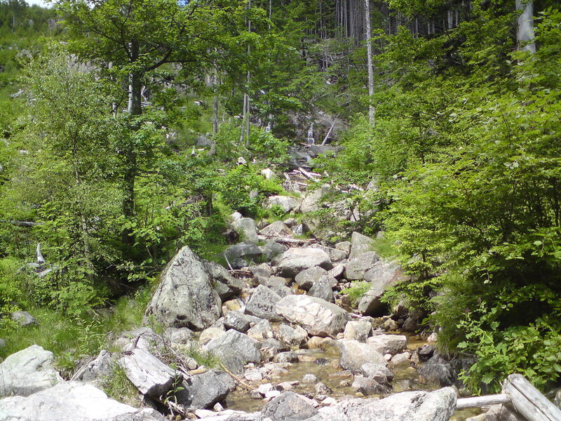 labe-p-pudlava-50.jpg
