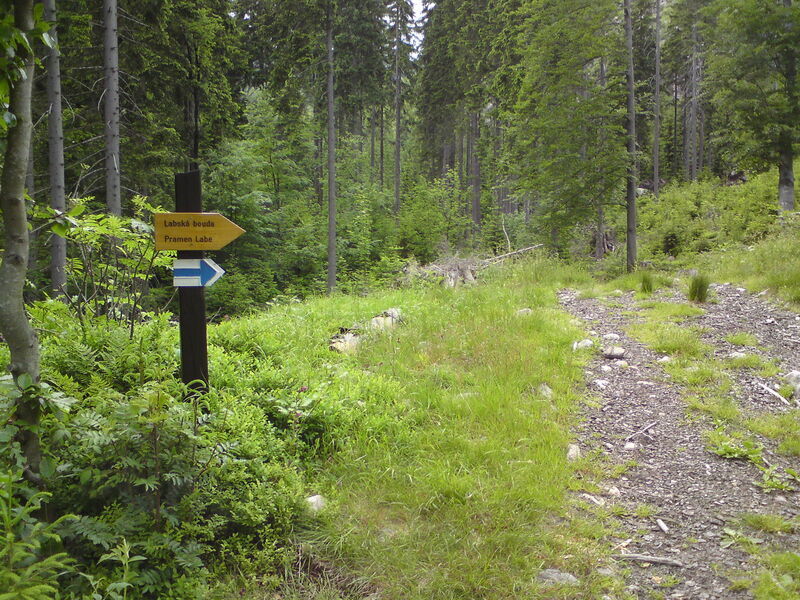 labe-p-pudlava-54.jpg