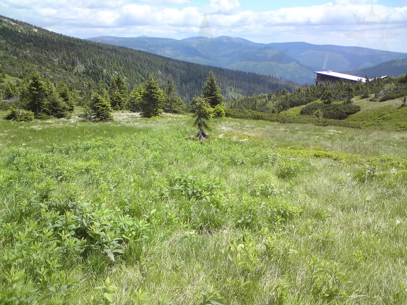 pramen-labe-24.jpg