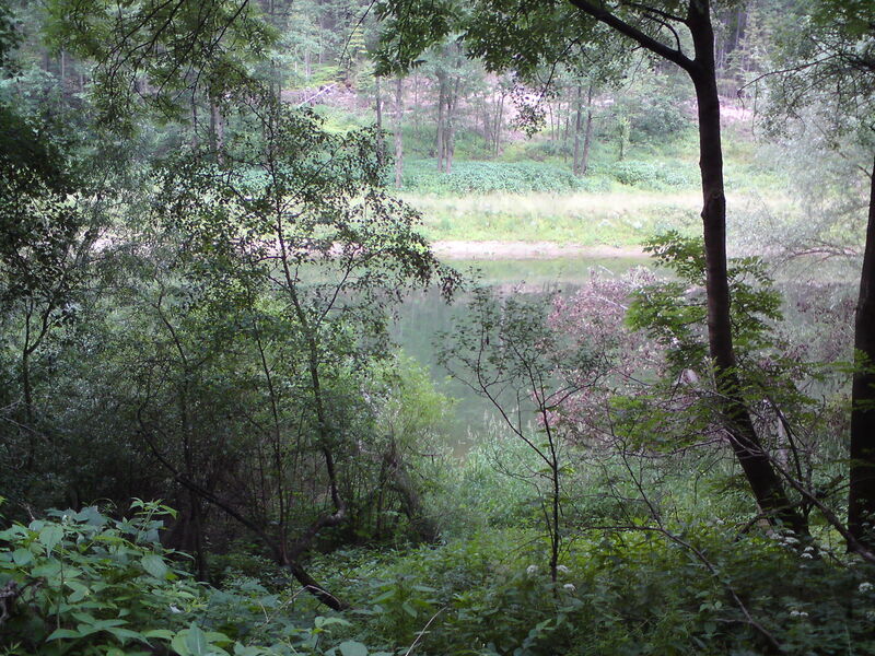 les-kralovstvi-10.jpg