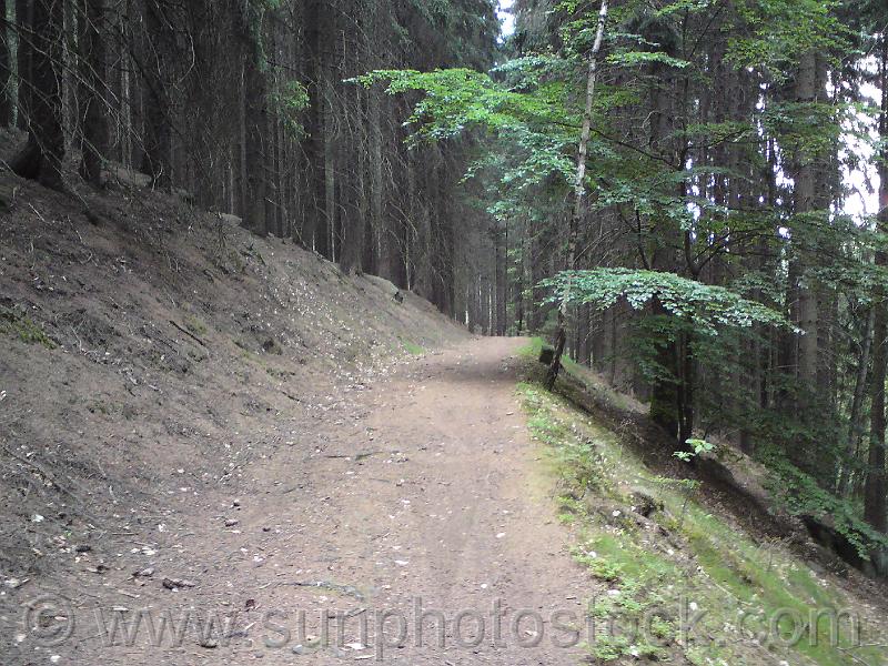 les-kralovstvi-12.jpg - Levobřežní lesní stezka nad přehradní nádrží.