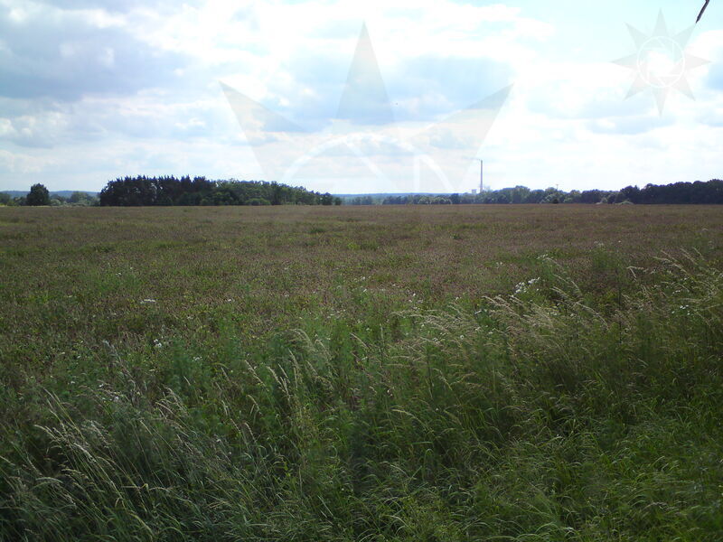 labe-pk-05.jpg