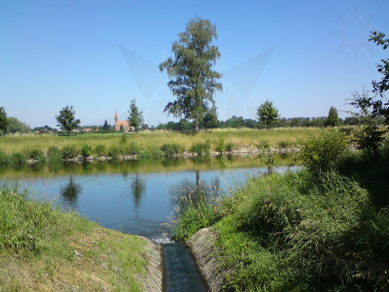 labe-pk-14.jpg