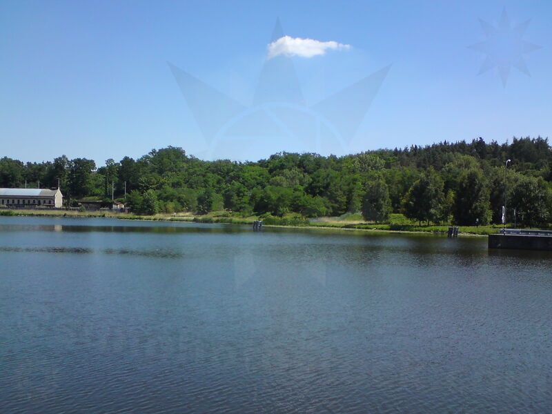 labe-pk-37.jpg