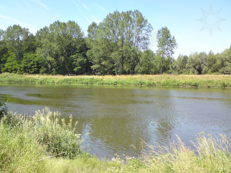 labe-pk-43.jpg