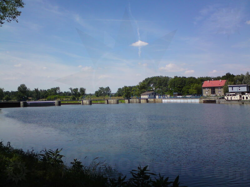 labe-pk-49.jpg