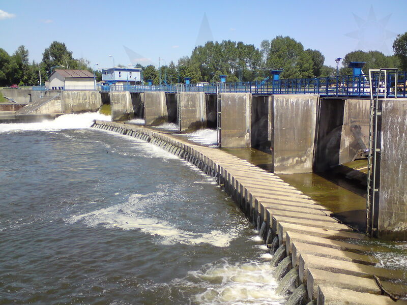 labe-pk-53.jpg