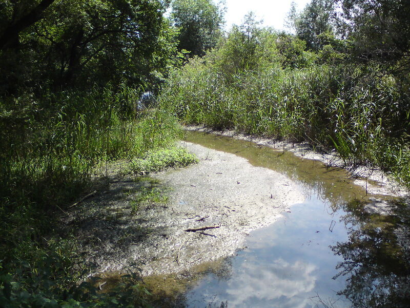 labe-pk-69.jpg