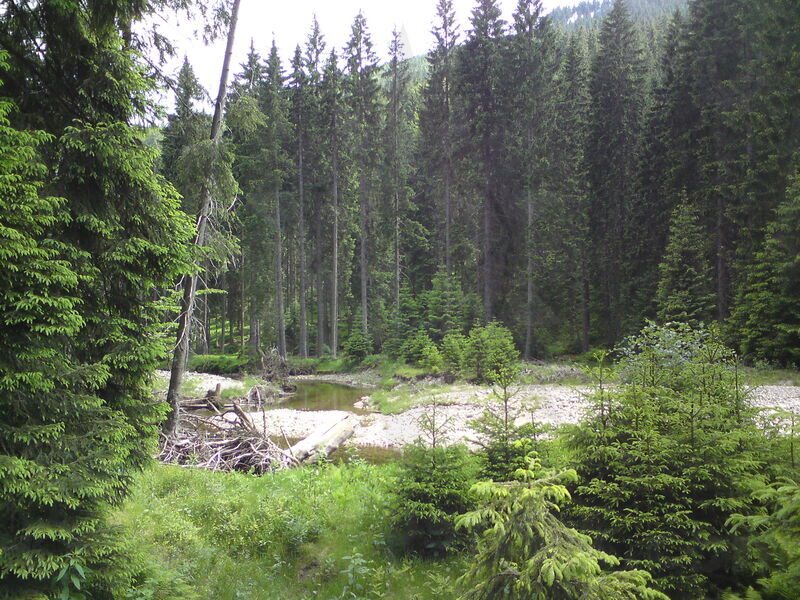 labe-p-spindl-11.jpg