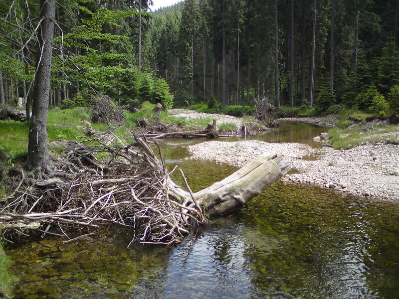 labe-p-spindl-12.jpg