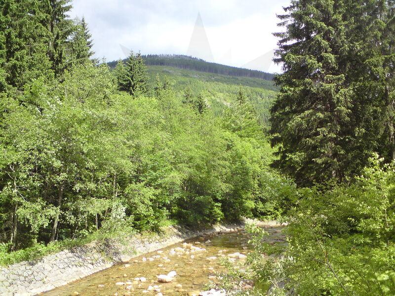 labe-p-spindl-41.jpg
