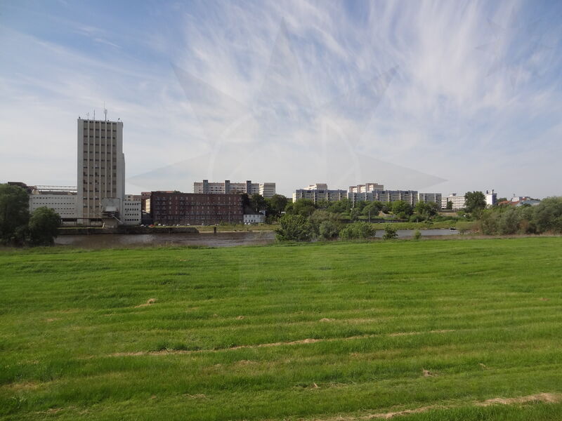 elbe-riesa-05.jpg