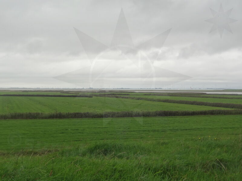 stadersand-cuxhaven-58.jpg