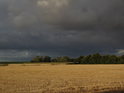 Dozrávající lán pšenice pod temnými mračny mezi obcemi Belum a Otterndorf v levobřežní nivě Labe.