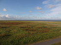 Levobřežní niva Labe nad městem Cuxhaven. Vidět však již není opačný břeh, ale Severní moře.