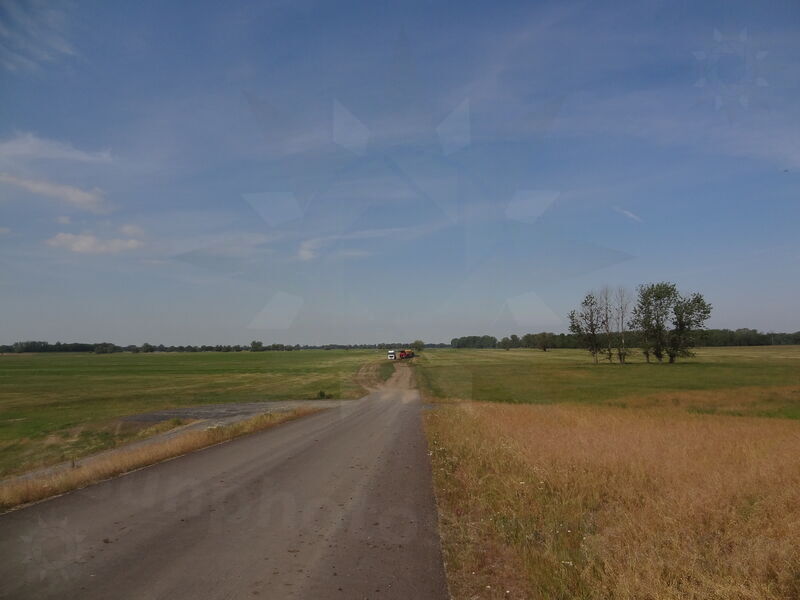 torgau-wittenberg-58.jpg