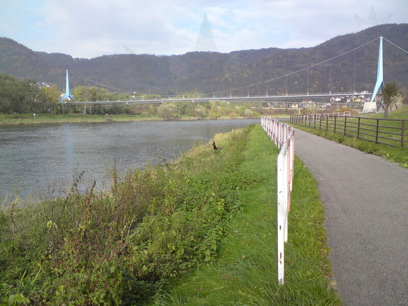 labe-ud-03.jpg