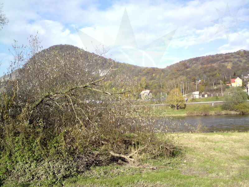 labe-ud-09.jpg
