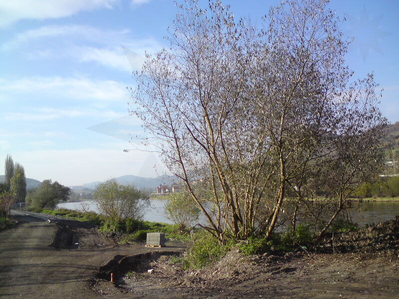 labe-ud-17.jpg