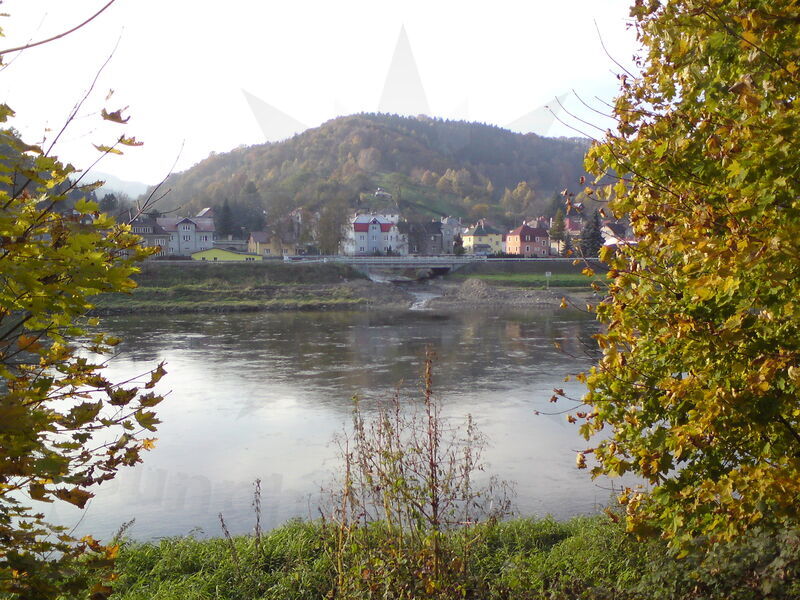 labe-ud-50.jpg