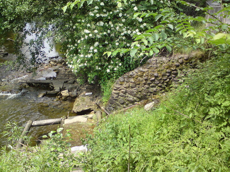 labe-vh-15.jpg