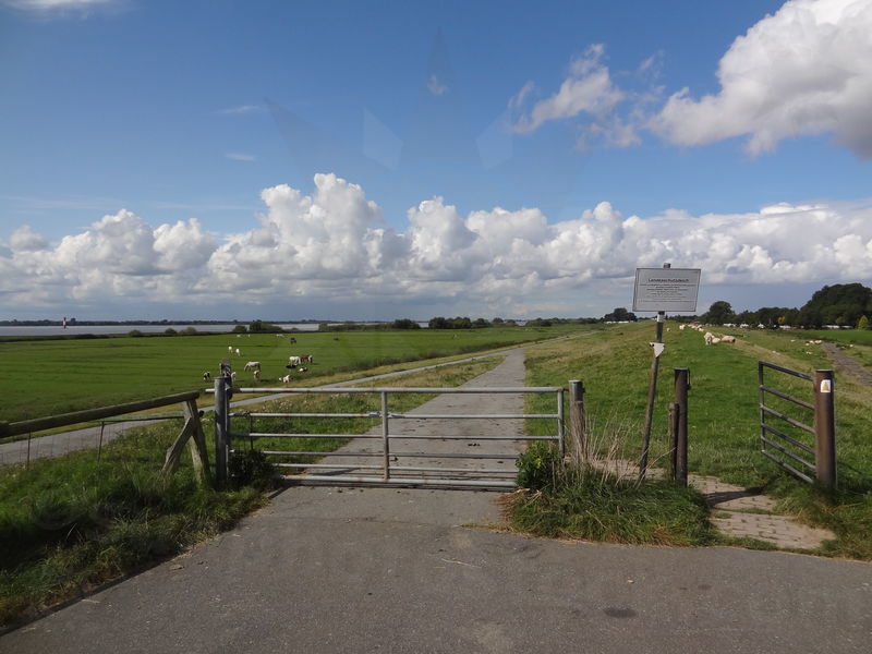 wedel-gluckstadt-44.jpg