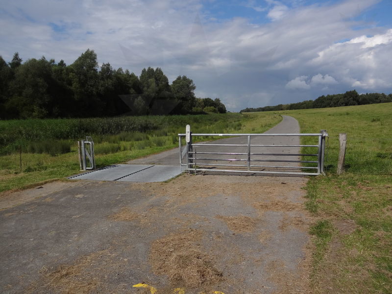 wedel-gluckstadt-58.jpg