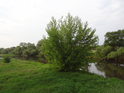 Řeka Mulde je prvním velkým přítokem Labe v Německu.